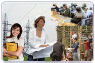 cerco lavoro